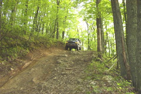 1995 Ford Bronco - A Ford Bronco navigates a challenging off-road path through a dense forest.