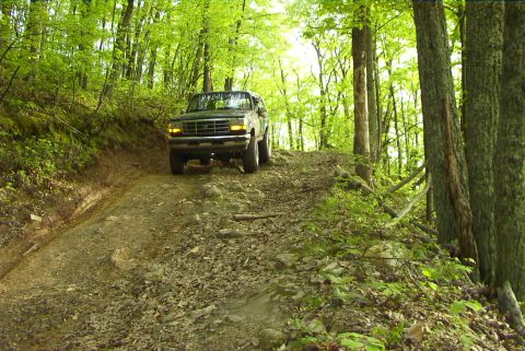 1995 Ford Bronco - Ford Bronco navigates a challenging dirt path through a dense forest.