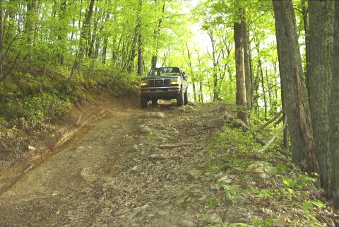 1995 Ford Bronco - A dark green Ford Bronco navigates a challenging, rocky path through a dense forest.