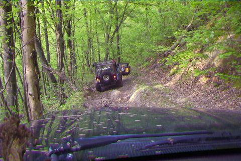 1995 Ford Bronco - Off-roading adventure on a forest trail with multiple SUVs navigating the terrain.