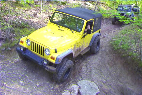 1995 Ford Bronco - Two Jeeps navigate a wooded trail, one yellow and one dark colored, on an off-road adventure.