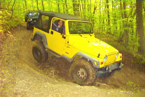 1995 Ford Bronco - Two Jeeps navigate a wooded trail, with the lead vehicle, a yellow Wrangler, climbing a dirt incline.