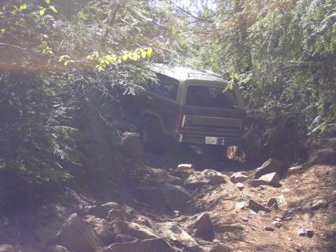 1980 Ford Bronco - This 1980 Ford Bronco navigates a challenging, rocky off-road path surrounded by dense trees.