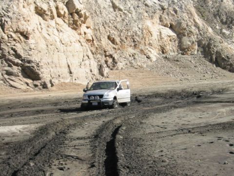 1985 Ford Bronco - hes stuck