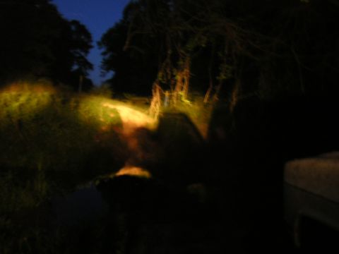 1984 Chevrolet Blazer - The vehicle's headlights cut through the darkness, illuminating a path through the trees at night.