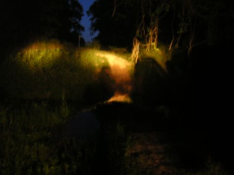 1984 Chevrolet Blazer - Headlights cut through the darkness, illuminating a rural scene with grass and trees.