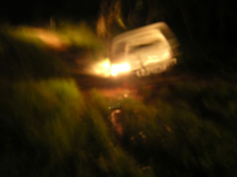 1984 Chevrolet Blazer - Vehicle headlights illuminate the scene at night, with grass visible.