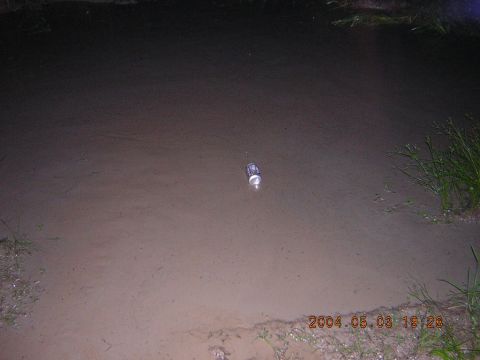 1984 Chevrolet Blazer - A single can floats in murky water, with grass visible along the edge of the scene.