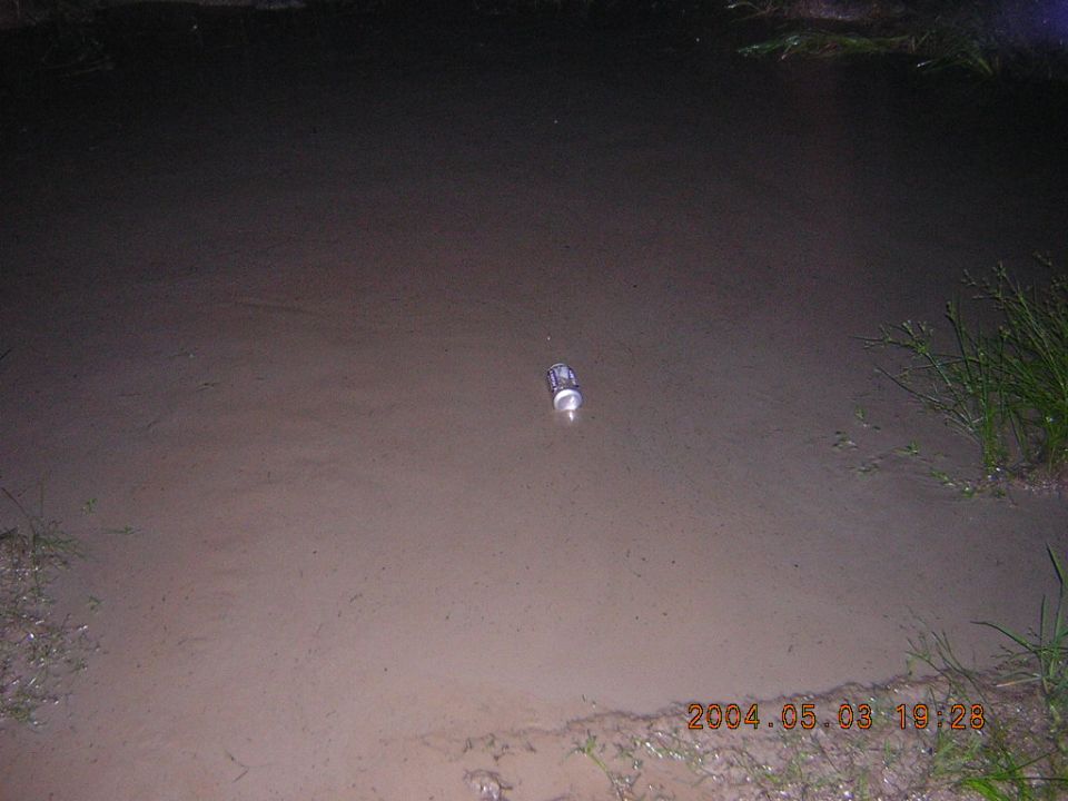 Can floating in muddy water with grass on the right bank. Timestamp 2004.05.03 19:28