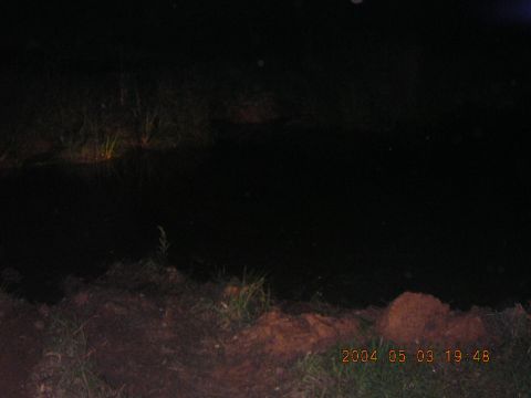 1984 Chevrolet Blazer - A dark scene captures grass and dirt, with a timestamp indicating the date and time as May 3, 2004, at 19:48.