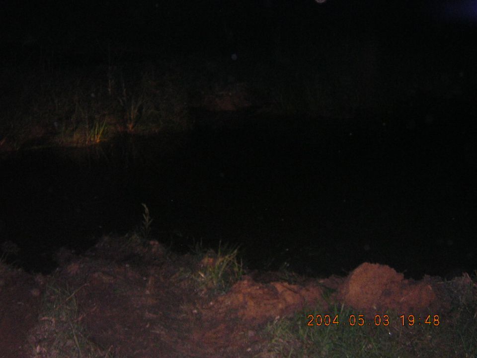 Dark scene with grass and dirt, timestamp 2004 05 03 19:48