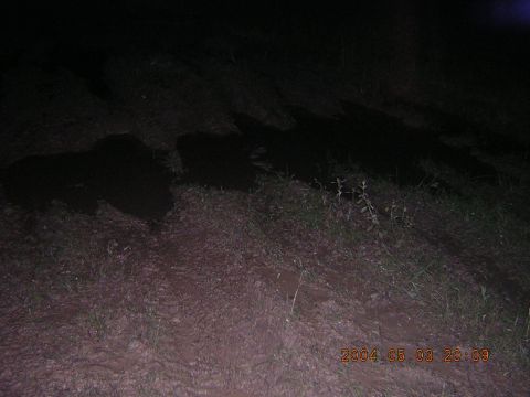 1984 Chevrolet Blazer - A dark, outdoor scene is captured with a timestamp indicating it was taken on May 3, 2004, at 8:09 PM.