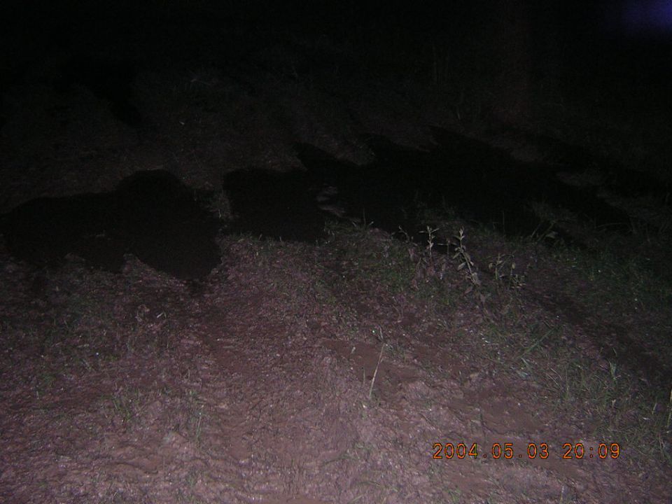 Dark scene with shadows and grass, timestamp 2004.05.03 20:09