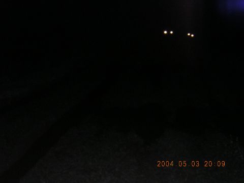 1984 Chevrolet Blazer - Headlights illuminated in the darkness, with a timestamp and website visible.