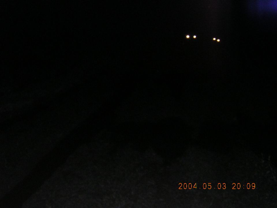 Almost entirely dark night photo with four distant amber lights