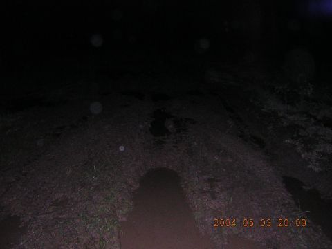 1984 Chevrolet Blazer - The photo shows a dark, muddy, and grassy area at night, with a date stamp indicating it was taken on May 3, 2004.