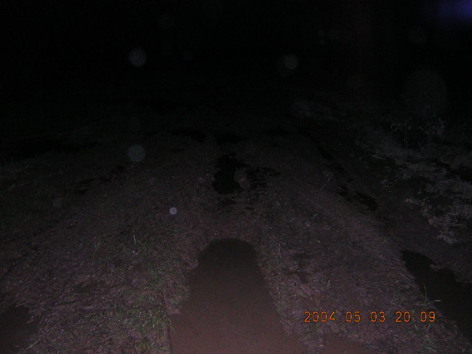 Dark night photo of rutted muddy trail with tire tracks, 2004 date stamp