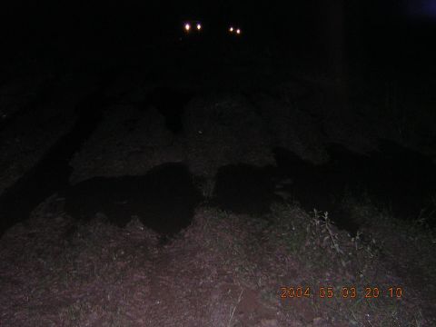 1984 Chevrolet Blazer - Headlights pierce the darkness of a rural landscape at night.