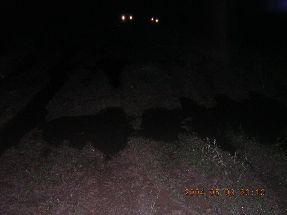 Two bright headlights shine in the dark night over a grassy area