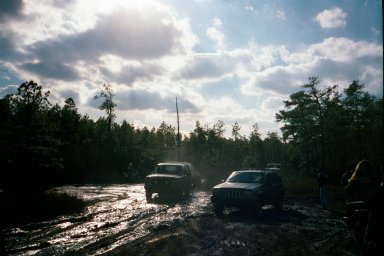 1979 Ford Bronco II - SUVs navigate a wet, wooded trail with dramatic clouds overhead.