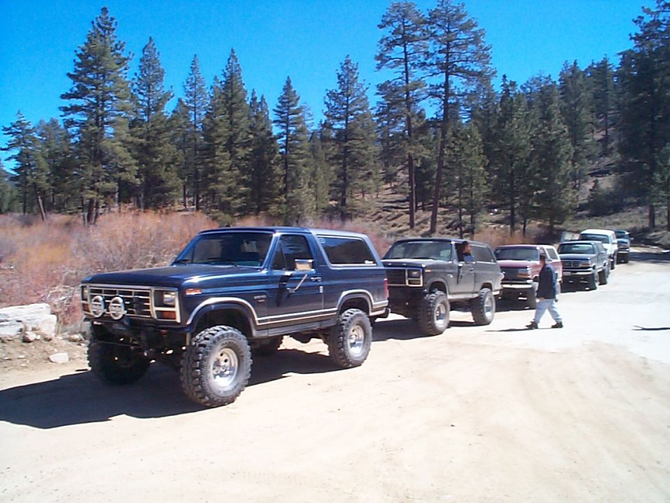 Lifted blue square-body Ford Bronco with brush guard leading a line of 4x4s on a pine forest dirt road