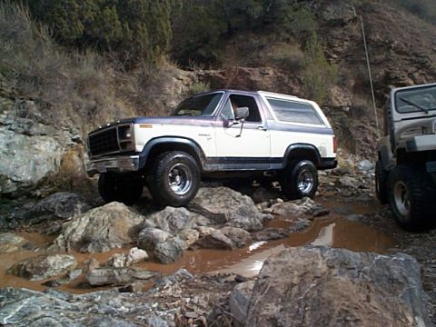 1981 Ford Bronco - A two-tone 1981 Ford Bronco tackles a challenging off-road course with another vehicle visible to the right.