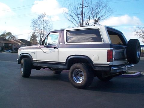 1981 Ford Bronco - Two-tone cream and dark-blue full-size Bronco parked on a suburban street, viewed from the driver-side rear three-quarter with its white re…