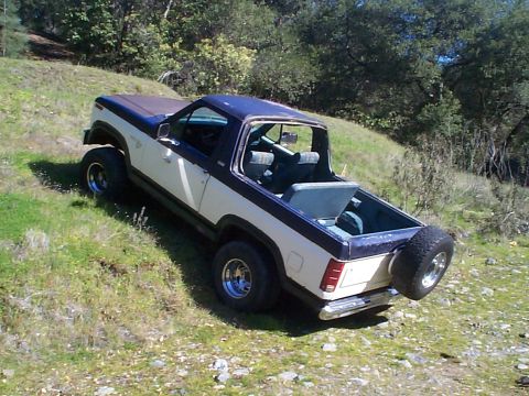 1981 Ford Bronco - High rear three-quarter view of a white and dark blue two-tone full-size Ford Bronco with the rear hardtop section removed, parked at an an…