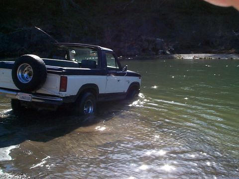 1981 Ford Bronco - Three-quarter rear view of a white and dark blue two-tone full-size Ford Bronco with its hardtop removed, fording a shallow river with wate…