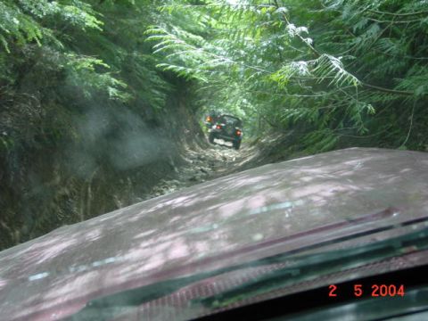 1992 Ford F-150 - Two vehicles traverse a challenging, tree-lined dirt trail, captured on camera in 2004.