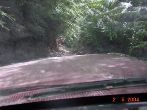 1992 Ford F-150 - Driving on a muddy trail through dense woods with another vehicle ahead.