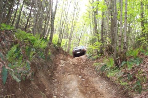 1992 Ford F-150 - A 1992 Ford F-150 navigates a challenging off-road trail through a dense forest.