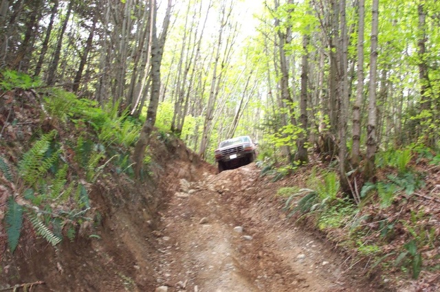 Ford F-150 climbing a steep, rocky dirt road in a forest