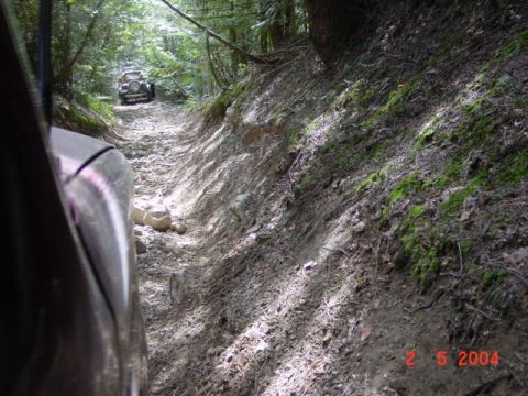 1992 Ford F-150 - Two vehicles navigate a challenging off-road trail through a dense forest.