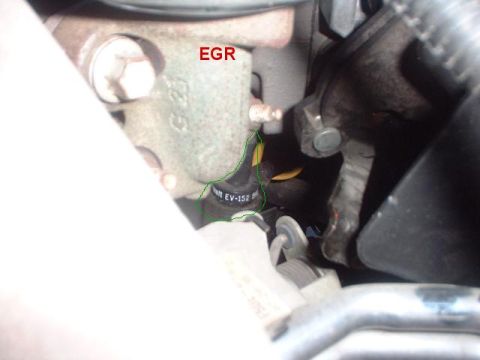 1996 Ford Taurus - Close-up view of an engine component labeled EGR, with a hose marked EV-152.