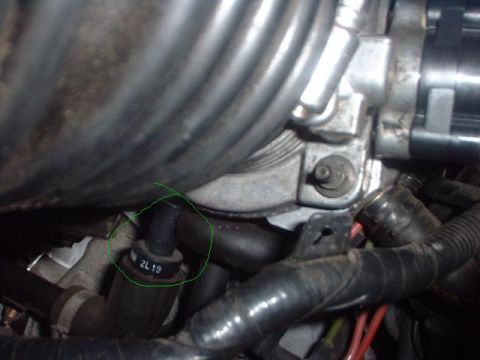 1996 Ford Taurus - A close-up view of a hose fitting with visible markings, likely a component within a vehicle's engine bay.