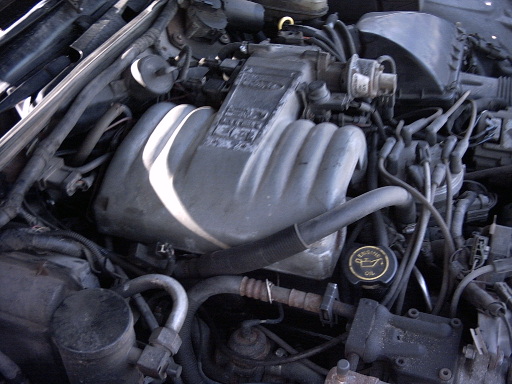 V8 engine in an engine bay with a Ford-style intake plenum and oil fill cap visible