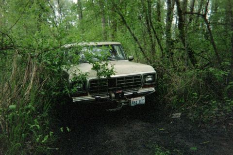 1978 Ford Bronco - A Ford F-Series truck is partially obscured by foliage while stuck in a muddy wooded area.