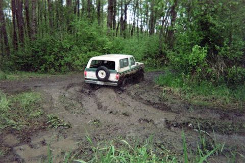 1978 Ford Bronco - This 1978 Ford Bronco navigates a challenging muddy path surrounded by dense trees.