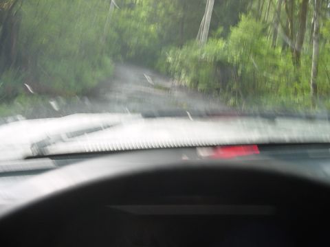 1987 Ford Bronco - Driving on a blurred dirt road through a wooded area, seen from the interior of a vehicle.