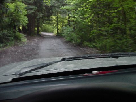 1987 Ford Bronco - Driving down a gravel road surrounded by lush green trees and foliage.