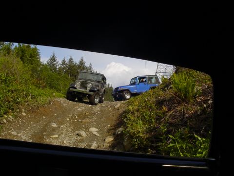 1987 Ford Bronco - Two Jeeps navigate a challenging off-road trail surrounded by dense vegetation.