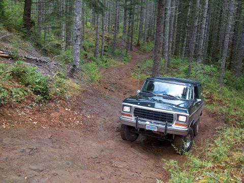 1978 Ford Bronco - A 1978 Ford Bronco navigates a muddy path through a dense forest.