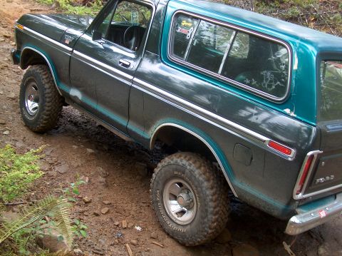 1978 Ford Bronco - This 1978 Ford Bronco is shown on a dirt path with some foliage around it.
