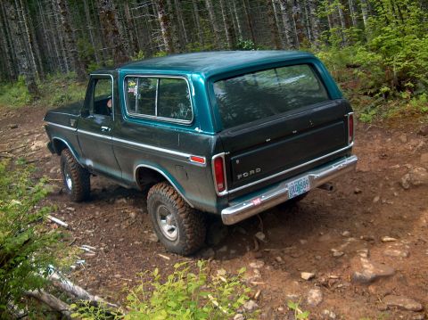 1978 Ford Bronco - 1978 Ford Bronco navigating a wooded trail.