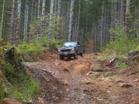 1978 Ford Bronco - A 1978 Ford Bronco navigates a challenging, rocky path through a dense forest.