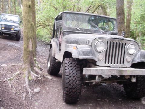 1987 Ford Bronco - Two Jeeps navigate a wooded trail, one in the foreground and another behind it its rear.