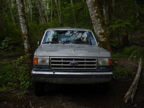 1987 Ford Bronco - A gray 1987 Ford Bronco is parked in a wooded area, facing the camera.