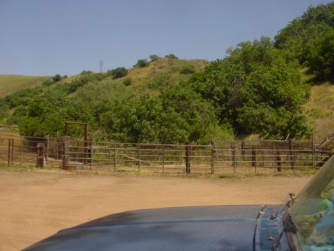 1988 Ford Bronco - A view of a rural landscape with a fence and trees, taken from inside a vehicle.