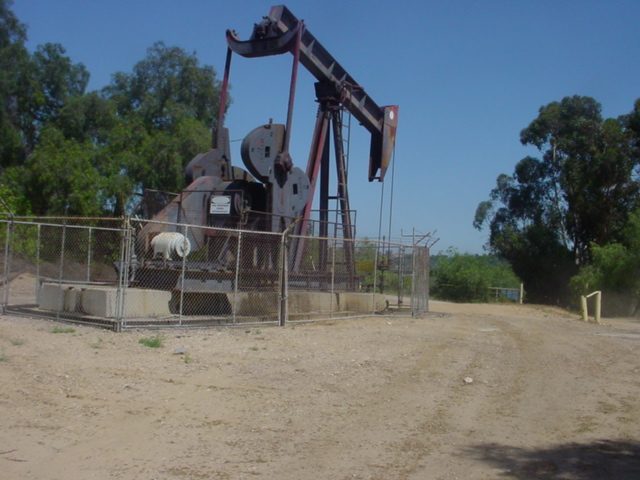 Oil pumpjack in a dusty field with trees and a clear blue sky